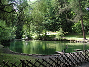 Teich in der Parkanlage Schwanenteich