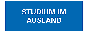 Hinweise Studium im Ausland